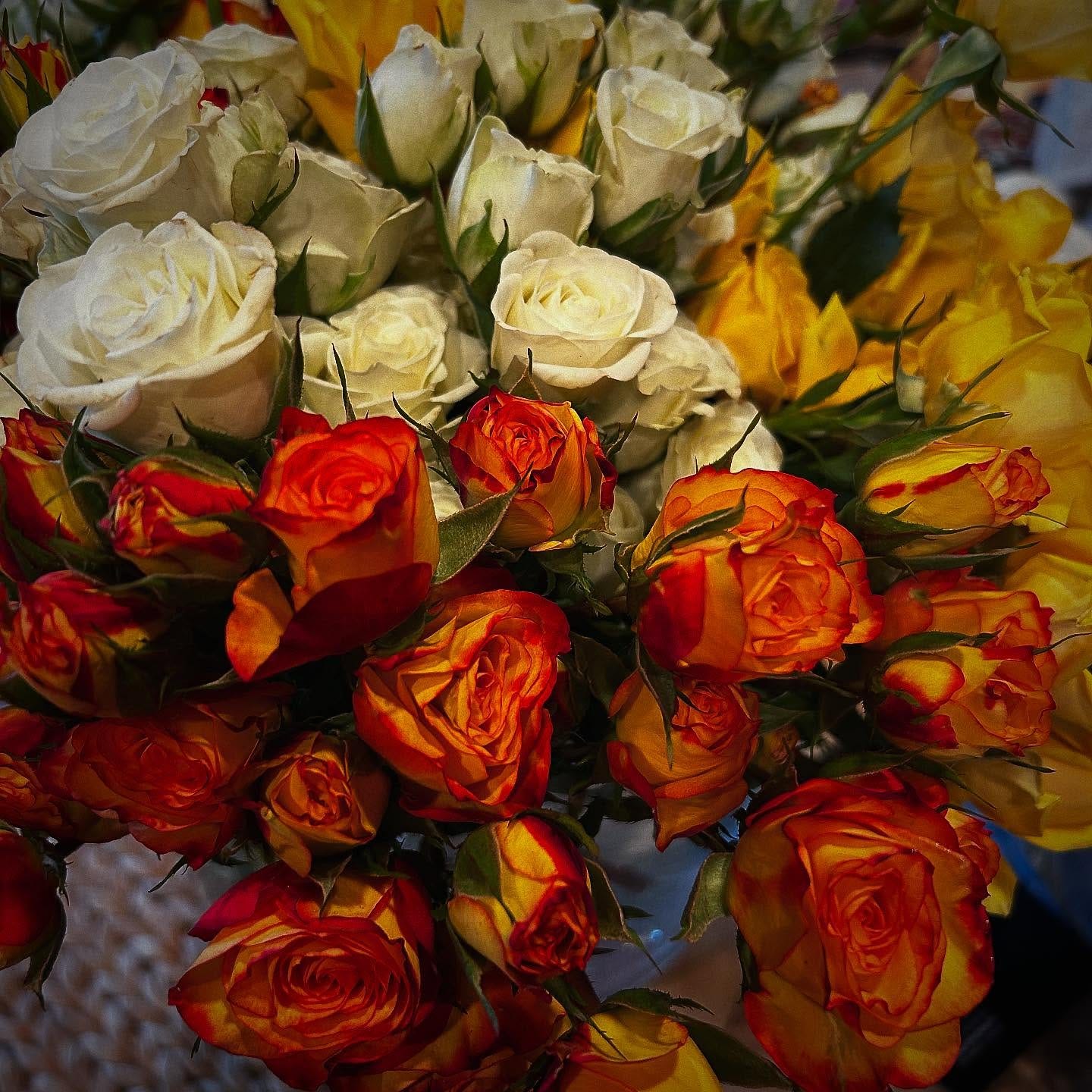 May be an image of flower