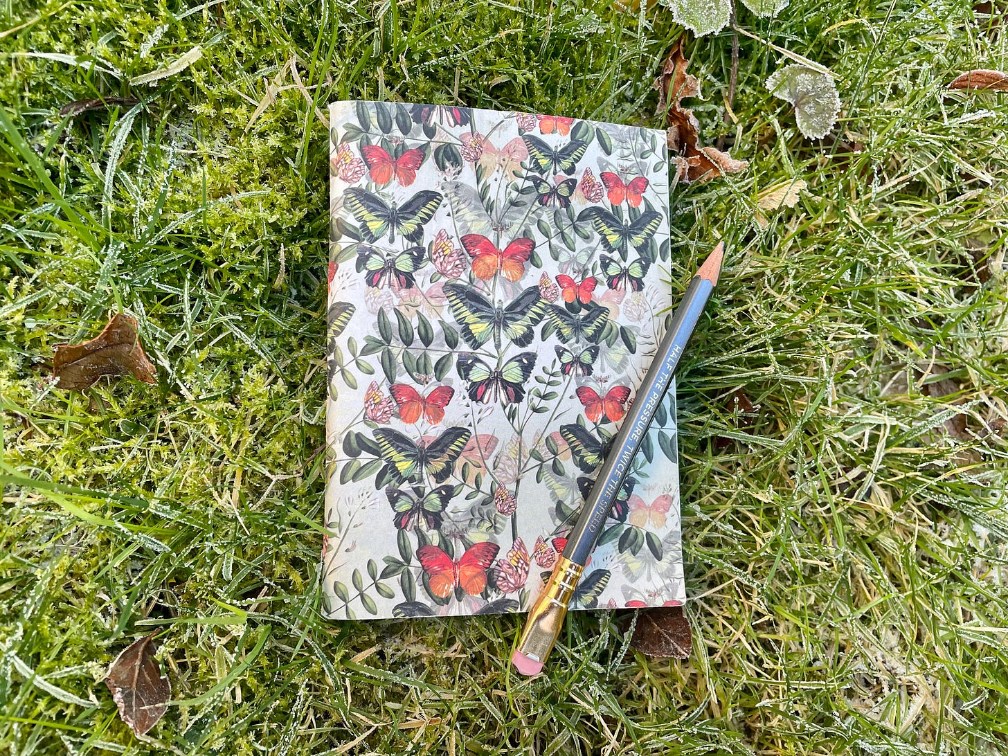 notebook and pencil on grass