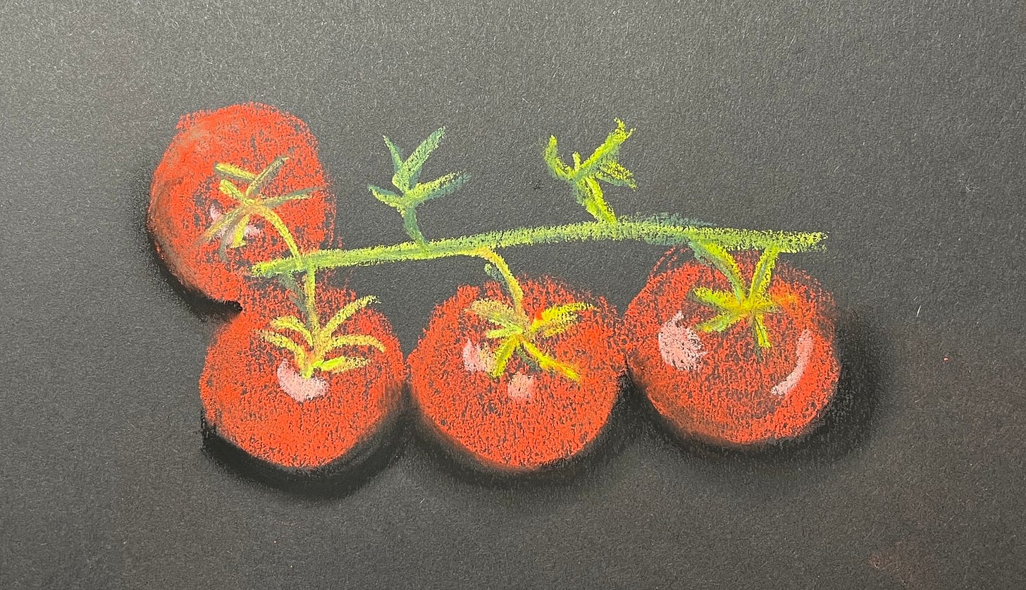 Chalk pastel drawing of 4 tomatoes on the vine.