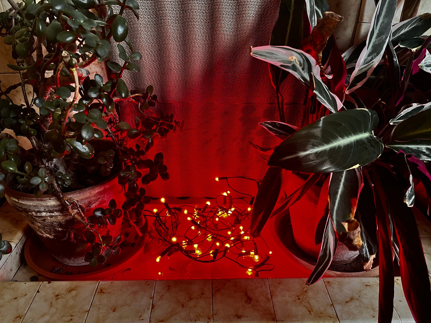 A fireplace with plants and red fairly lights as a fake fire