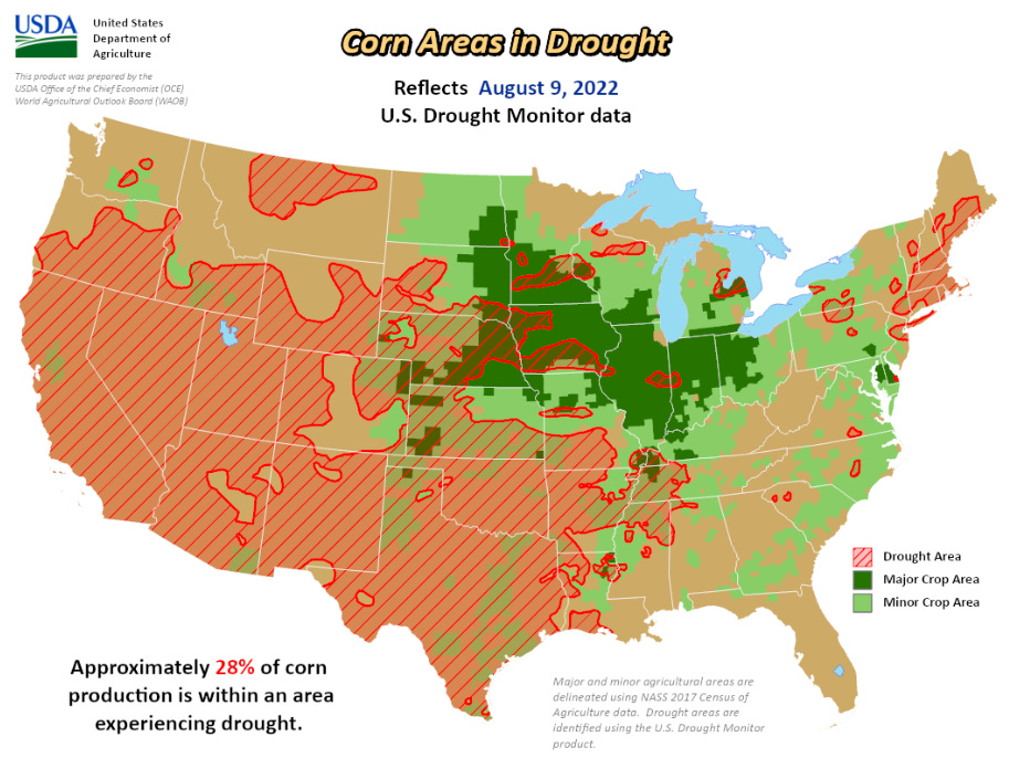 Grain Trading Crash Course - GrainStats - Corn Areas In Drought 2022