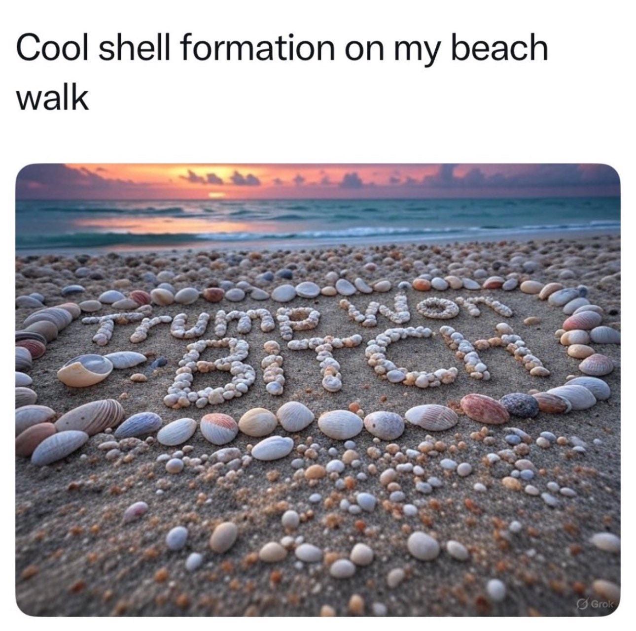r/ConservativeMemes - Cool shell formation