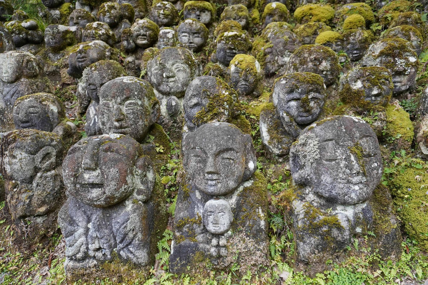 Musings from Japan