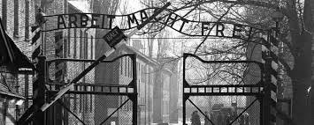 American Public Opinion and the Holocaust
