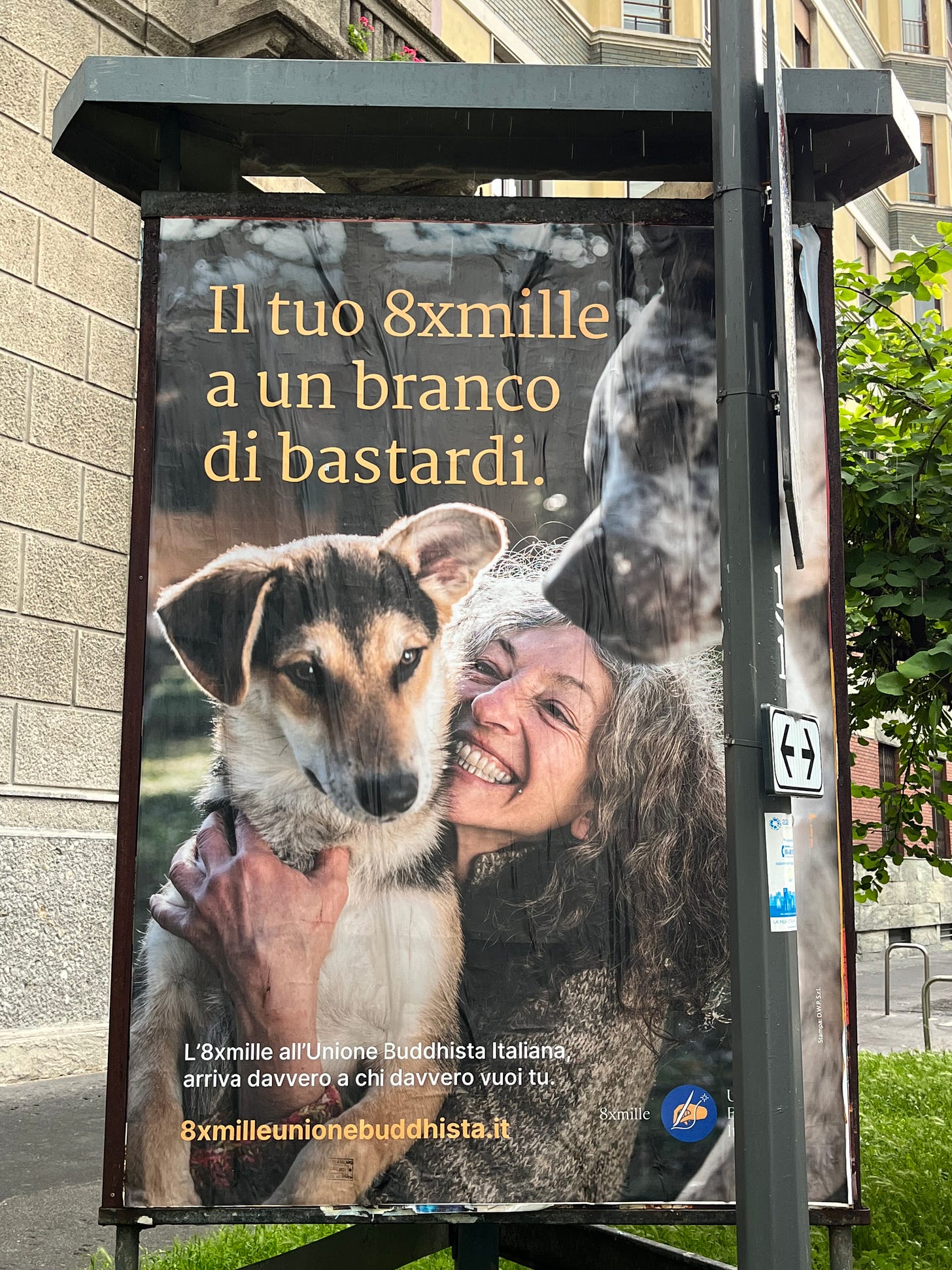Il titolo recita "Il tuo 8xmille a un branco di bastardi". Nella foto si vede una donna con due cani.