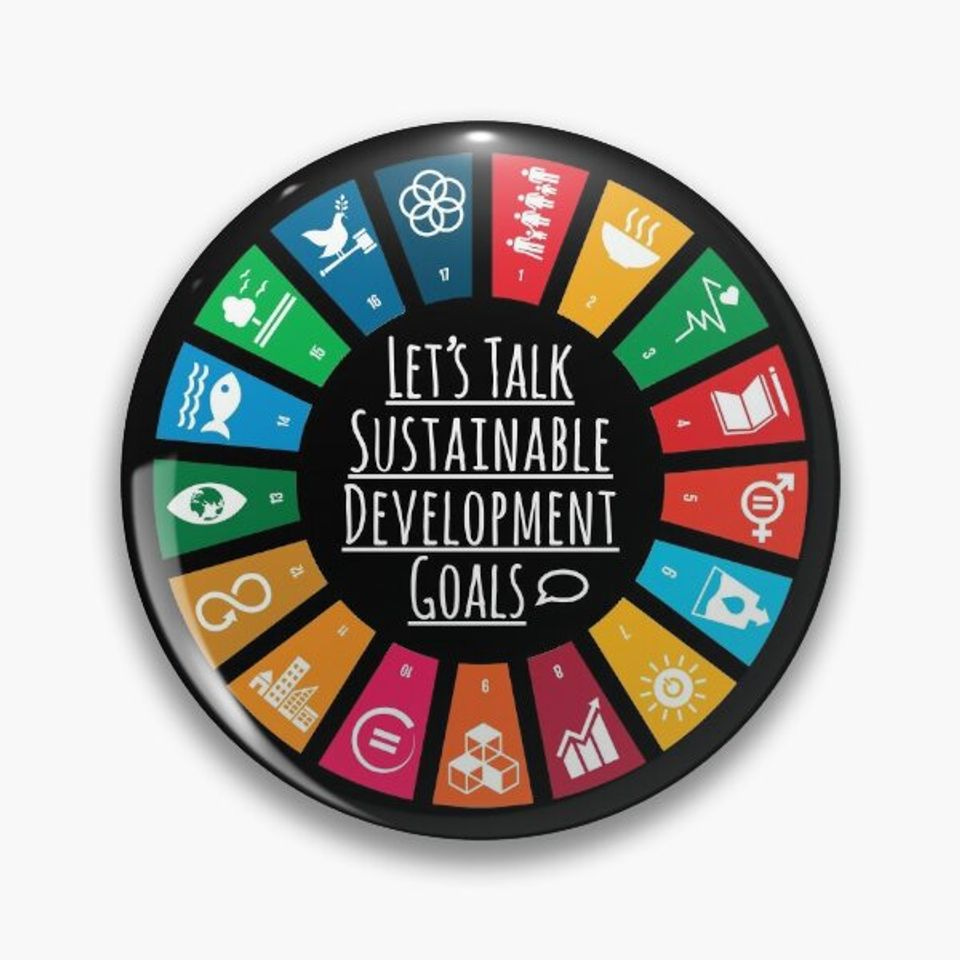 Discover UN SDGs Global Goals 2030 | United Nations Sustainable Development Goals 2030 Logo | Sustainable Gifts Pin Button