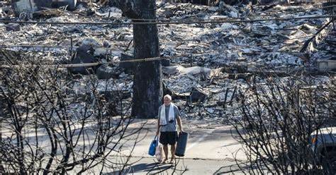 In search for cause of Maui fires, lawyers probe power lines - News and ...