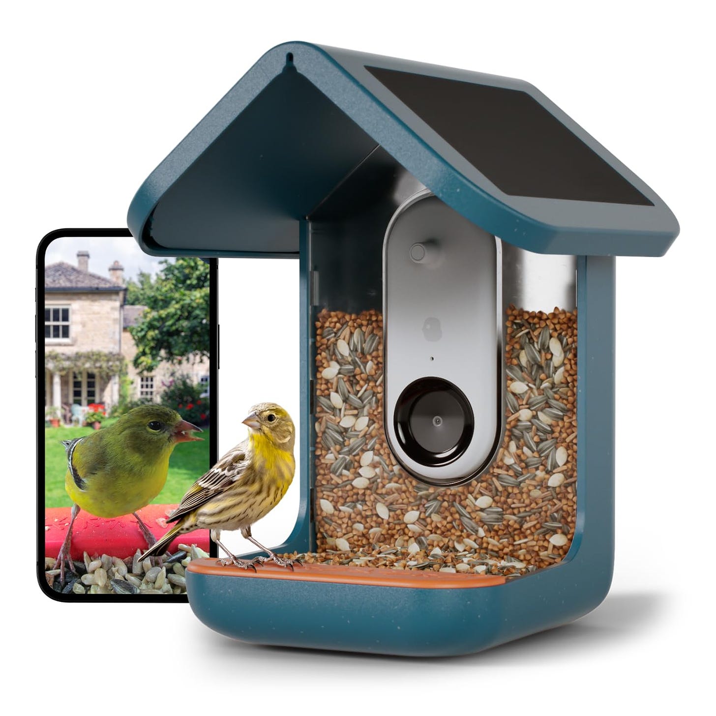 Amazon.com : BIRD BUDDY® Original Smart Bird Feeder with Camera Solar  Powered. High Resolution AI Camera for Beautiful Close-up Shots and a  Unique Bird Watching Experience : Patio, Lawn & Garden