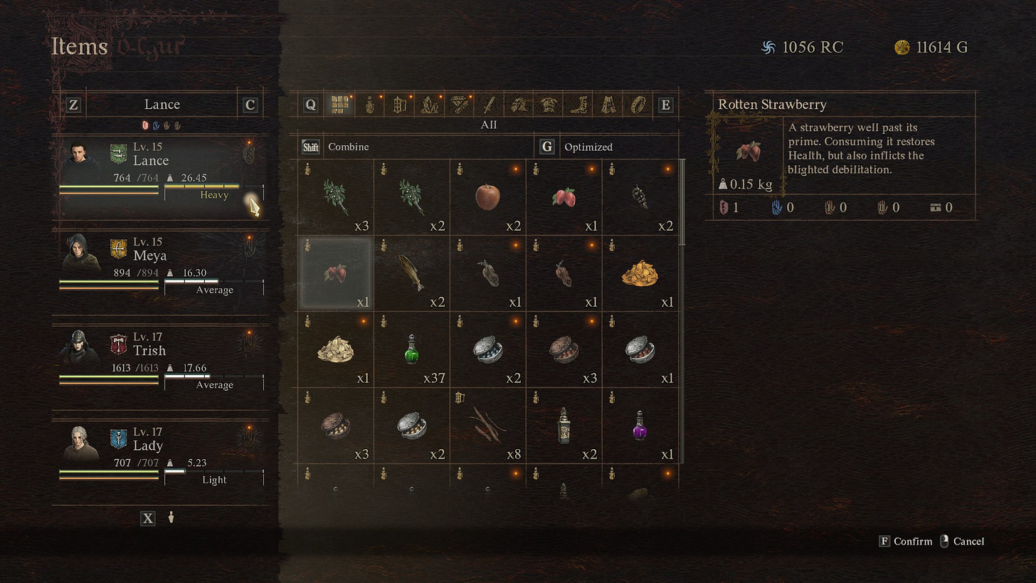 Dragon's Dogma 2 stamina health items and consumables
