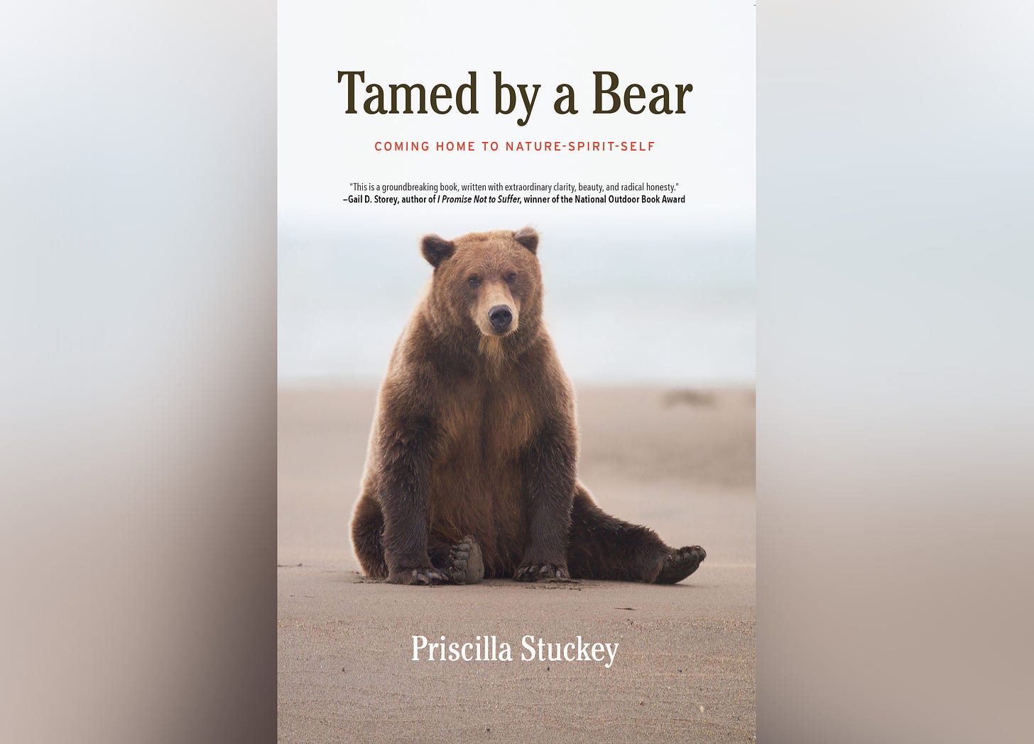 Cover of Tamed by a Bear showing a brown bear sitting upright on sandy ground and staring quietly toward the camera.