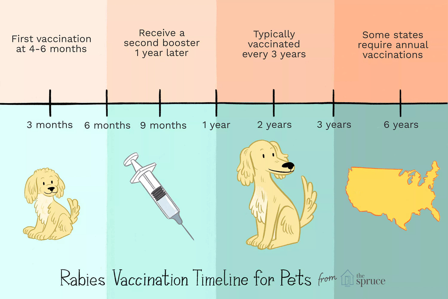 Rabies Vaccination Timeline for Pets