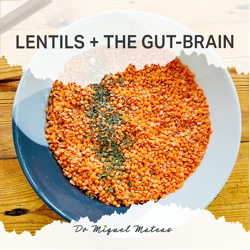 A bowl of vibrant orange split lentils seasoned with green herbs presented on a blue-rimmed white plate, resting on a wooden surface. The image is overlaid with the text 'LENTILS + THE GUT-BRAIN' and credited to Dr. Miguel Mateas, capturing the essence of wholesome nutrition linked to mental well-being.