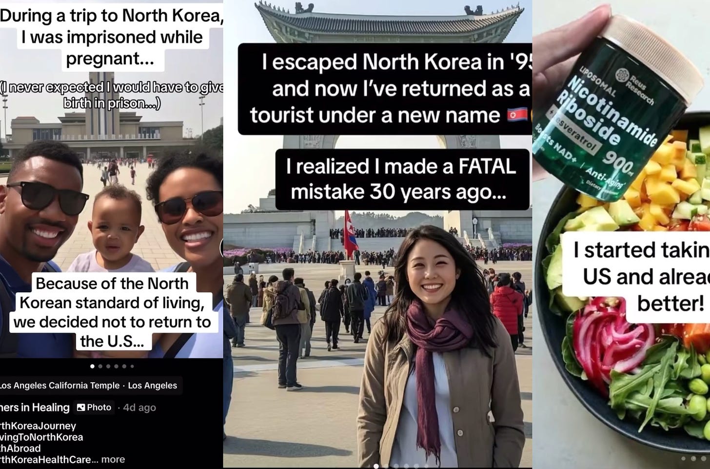 TikTok's Pro-North Korea Supplement Ads