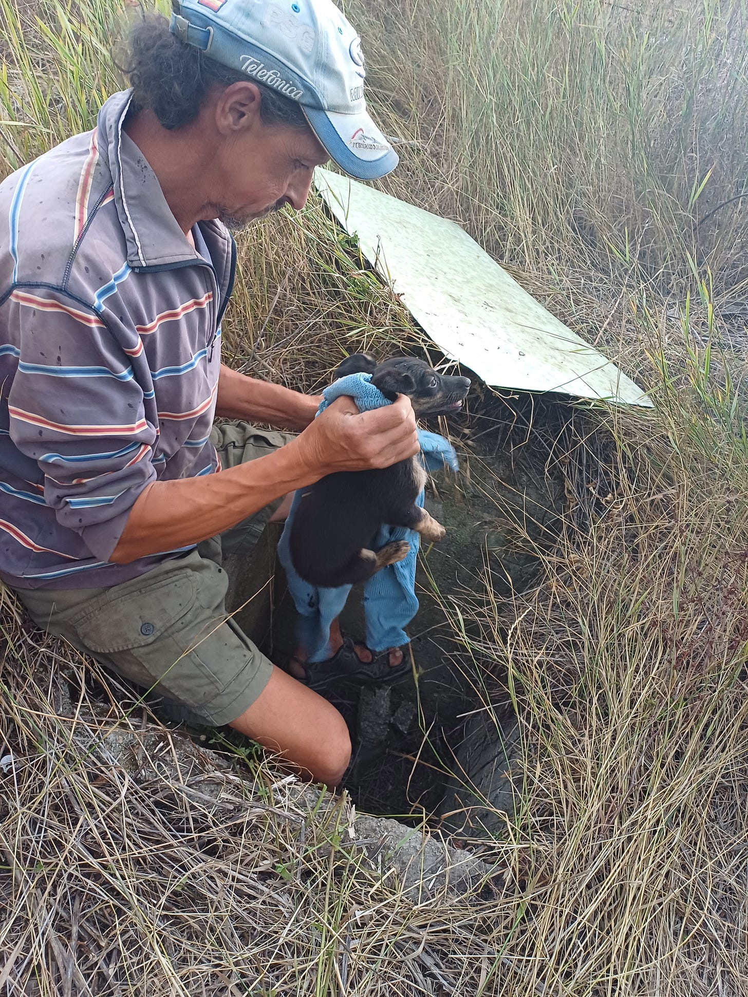 Rescuing the puppy from the shaft.