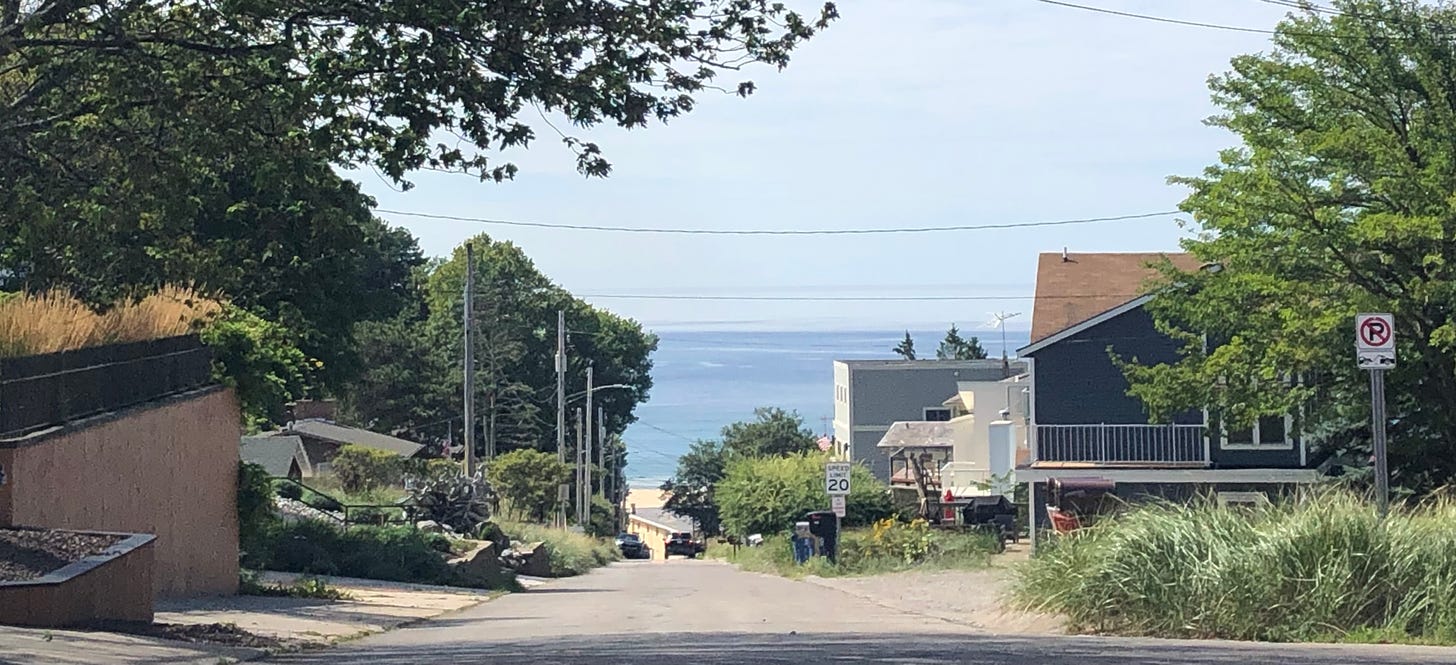 An image of Lake Michigan from the top of a hill in a town.