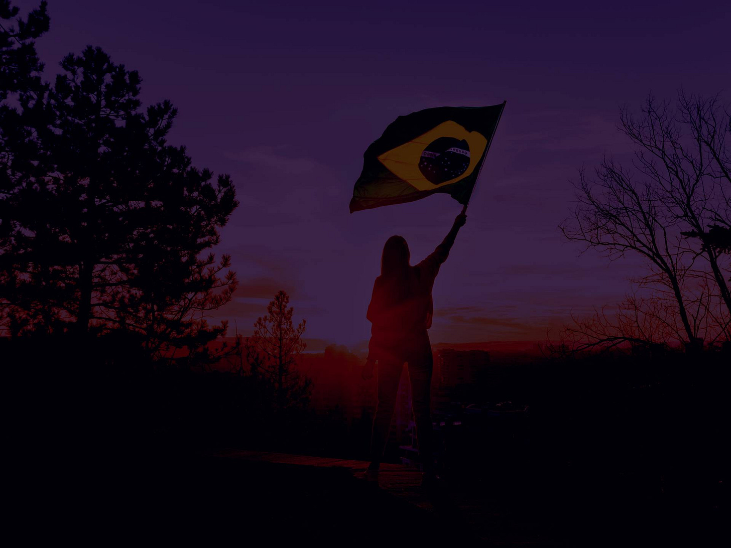 Mulher carrega bandeira do Brasil em foto com filtro roxo