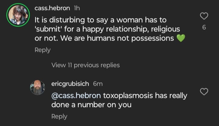 Screenshot of an Instagram comment by Cass that says 'It's disturbing to say a woman has to submit for a happy relationship. We are human not objects.' And a man replies 'Toxoplasmosis has really done a number on you.'