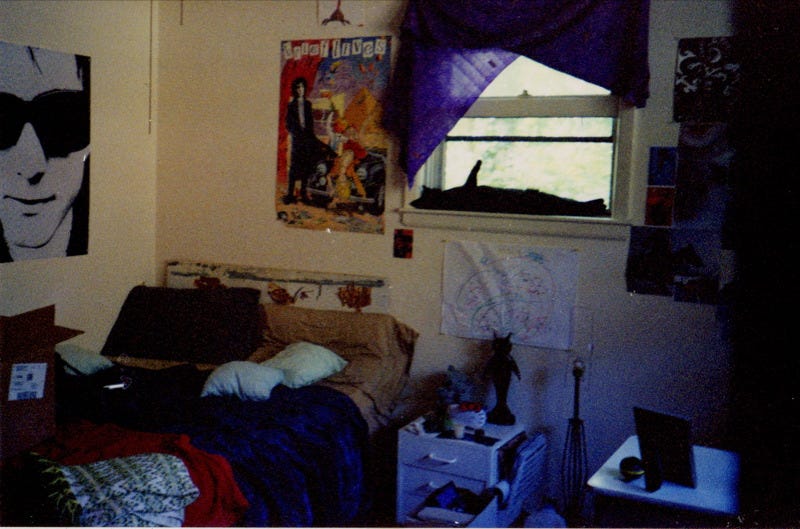 a messy bedroom with a poster of The Sandman "Brief Lives" and a black cat sleeping in the window