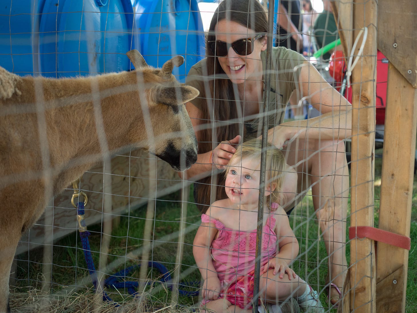 Child looking at goat