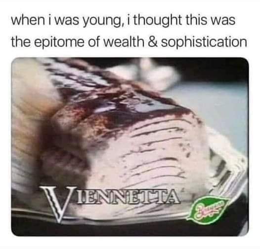 May be an image of text that says 'when i was young, i thought this was the epitome of wealth & sophistication VIENNETTA IENNETTA'