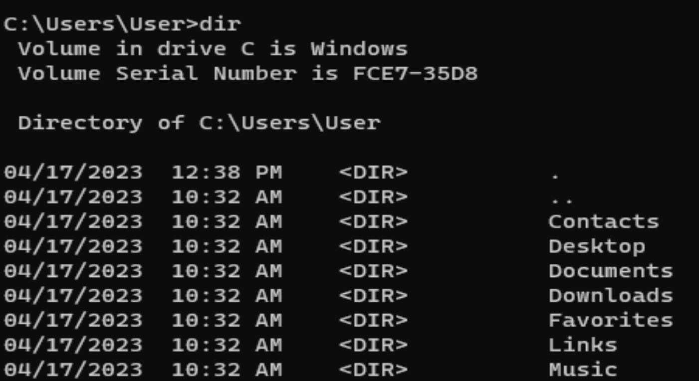 Screen capture of the output of the "dir" command
