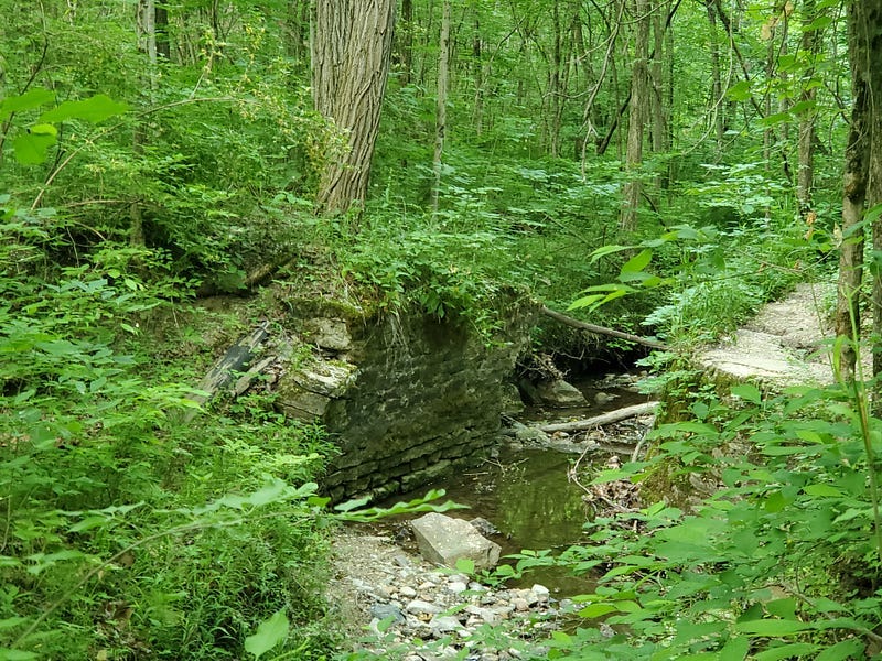 A stone wall in one of the creeks.