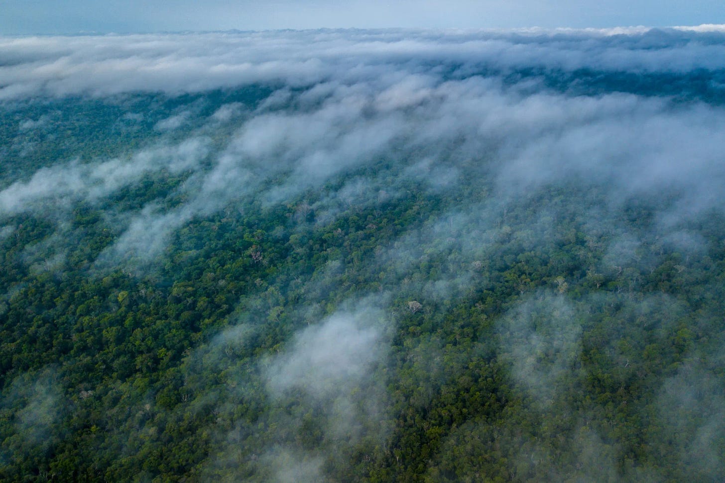 Views Of Amazonian States As Brazil Mine Disaster Prompts Bolsonaro To Rethink Environment