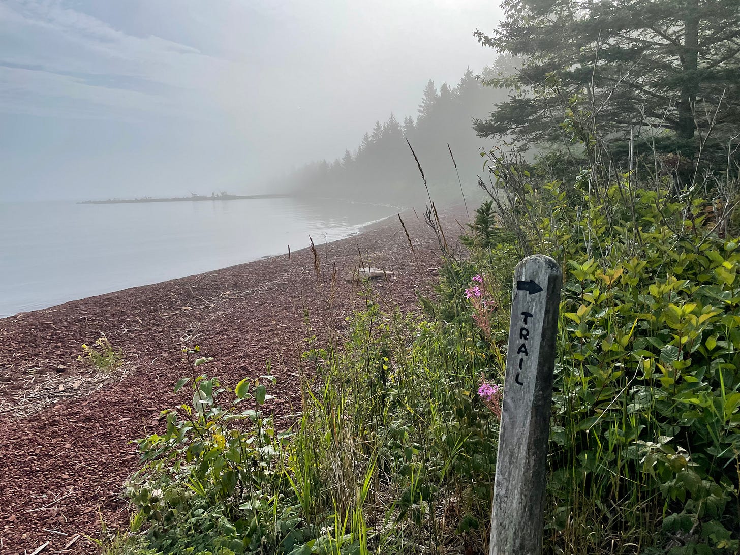 Fog obscures a red pebble beach and a smooth lake. In the foreground is a wooden signpost that reads TRAIL with an arrow pointing into thick brush.