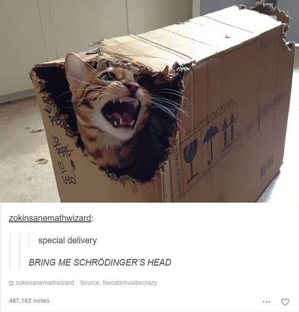 A cat meowing angrily from a closed cardboard box, their head popping from a teared down corner. 