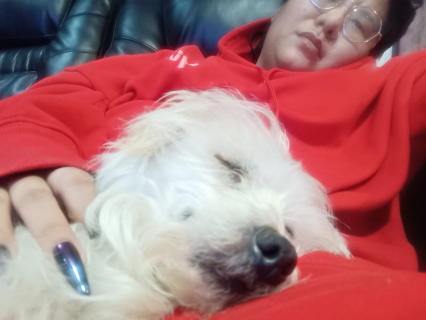A brown person in glasses and a red Yitty hoodie has Donut, a white, puppy-sized Maltese mix in their lap. Donut has long white fur, and is smiling slightly with his eyes closed.