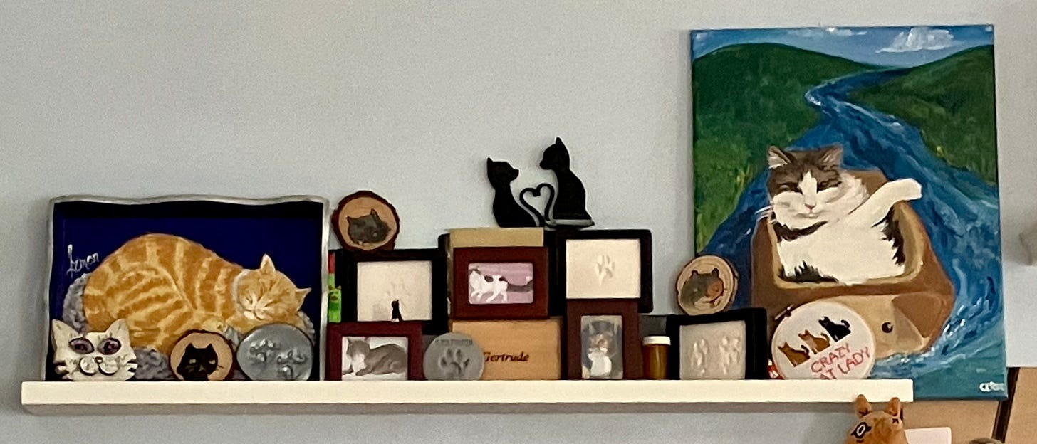 A shelf full of cat memorabilia. There are paintings, foot print impressions, and small wooden urns arrayed across the shelf.