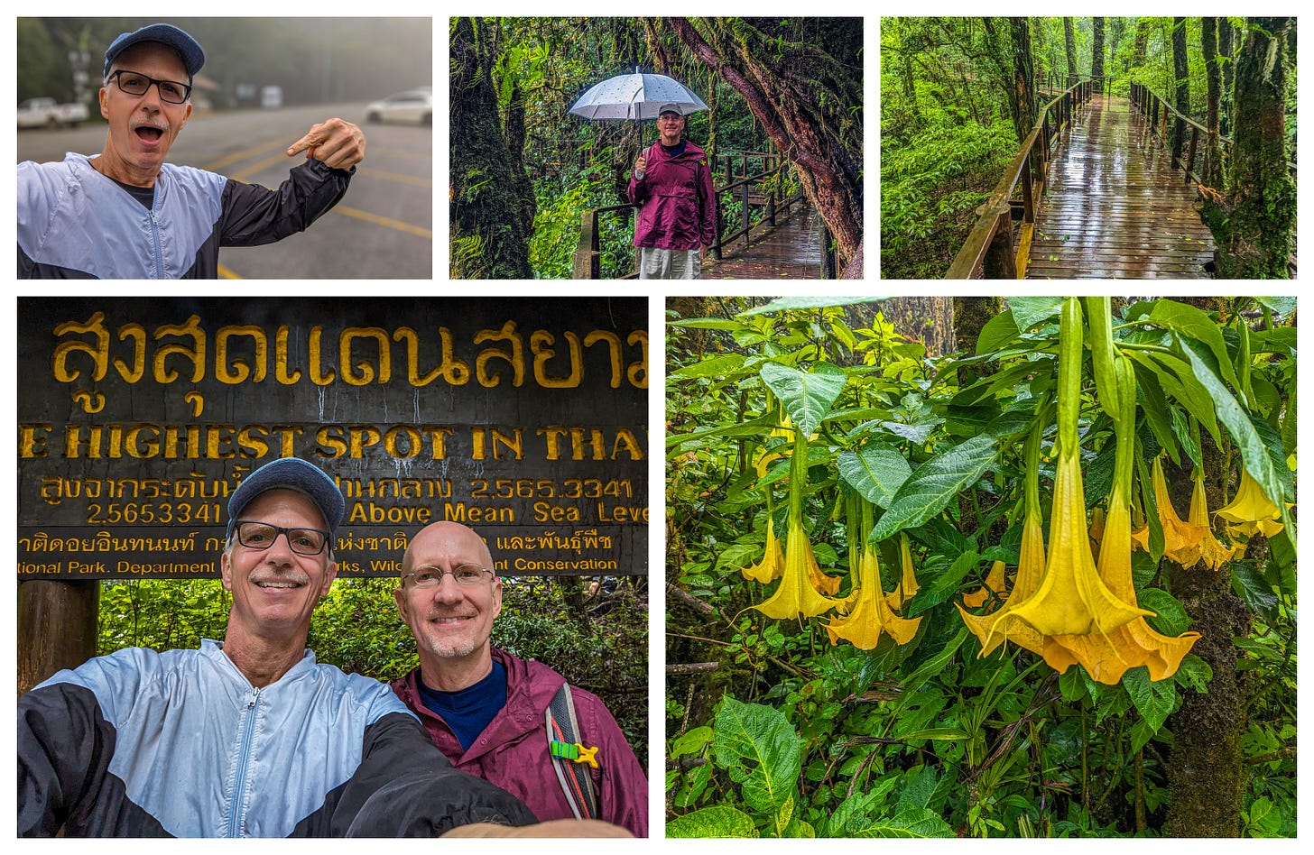 Collage showing Brent and Michael standing in front of a sign reading "Highest Point in Thailand," Michael wearing a jacket and pointing at it in amazement, Brent holding an umbrella in the rain while hiking a trail, and some yellow flowers. 