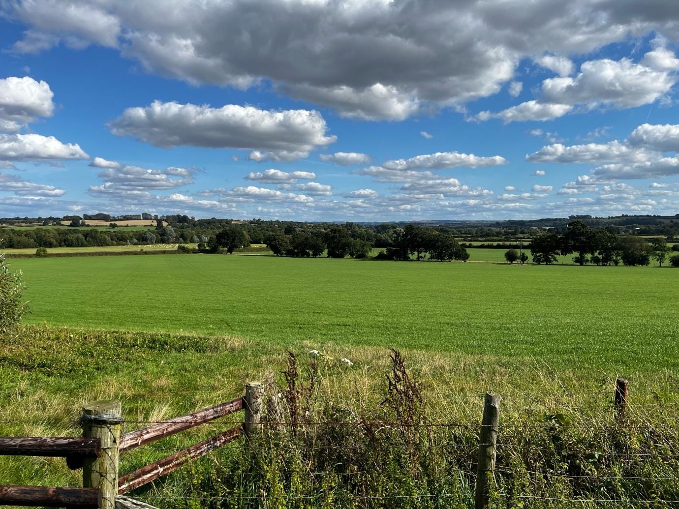 A field of grass and a fence

Description automatically generated