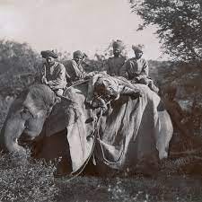 Kings hunting on elephants