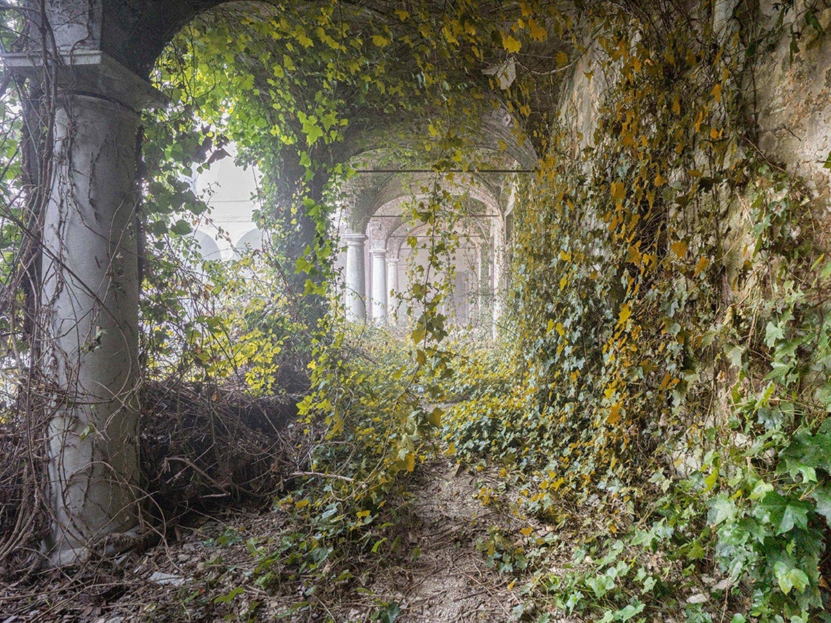 Abandoned buildings seen reclaimed by nature after humans leave, in  collection of eerie photos | The Independent | The Independent