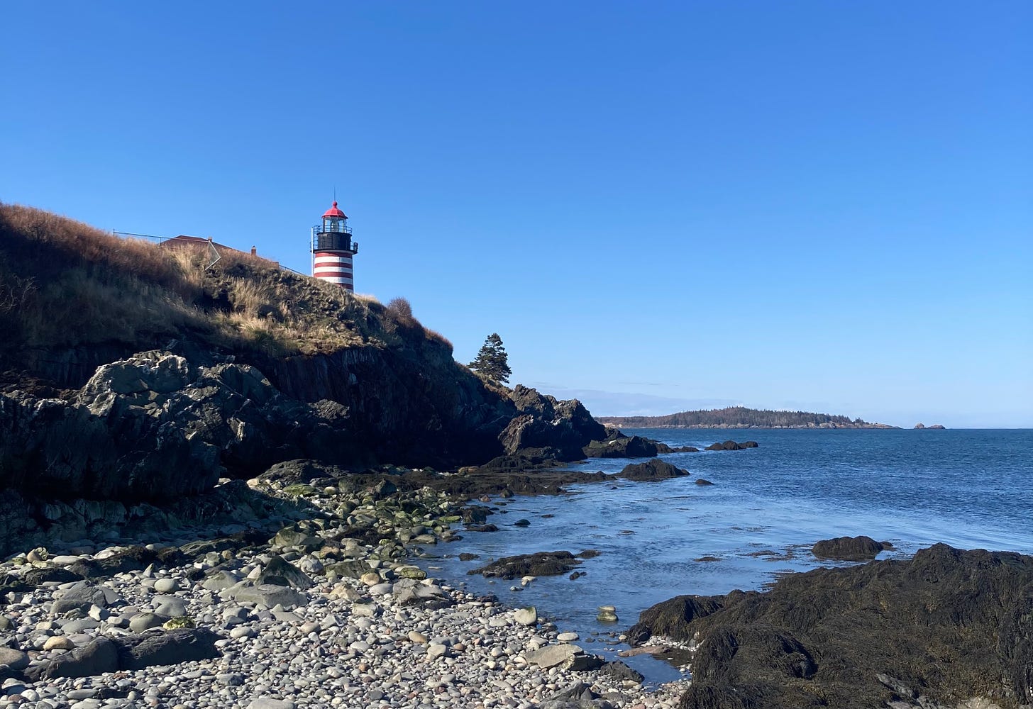 A rocky beach with blue ocean and sea grasses in the foreground. A red and white ringed lighthouse peeks out from behind a grass-covered cliff in the midground, with a pine tree nearer to the water. In the background is a near island and blue sky.