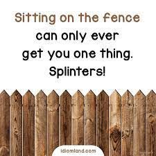 Sitting on the fence can only ever get you one thing. Splinters! #idiom  #idioms #pun #punny #quotes #funnyquotes