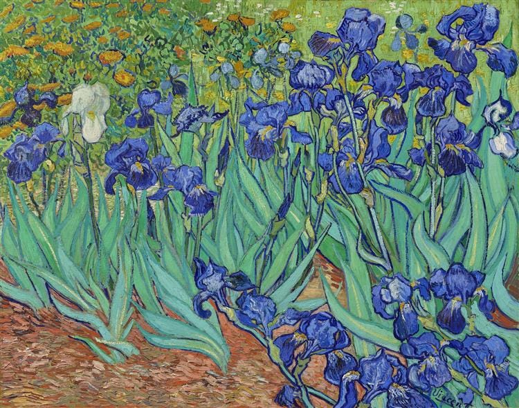 Irises, 1889 - Vincent van Gogh