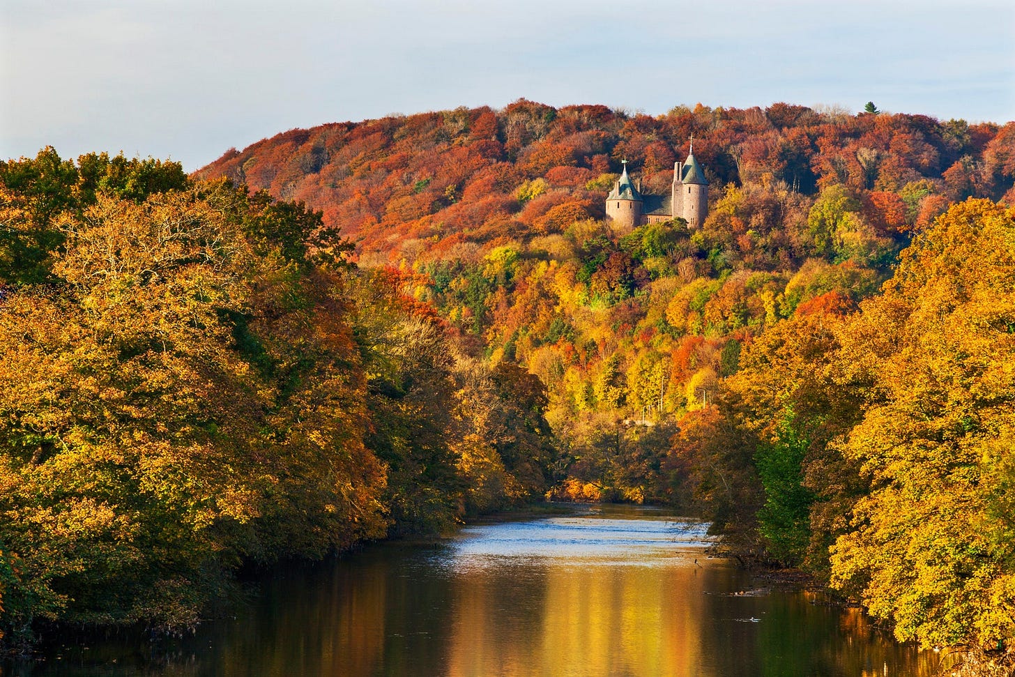 Water and trees around Castle Coch during Autumn