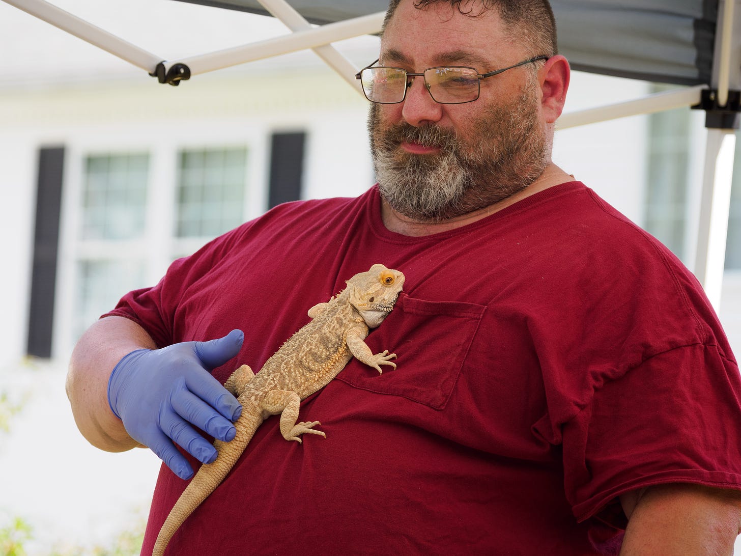 Bearded Dragon and bearded man