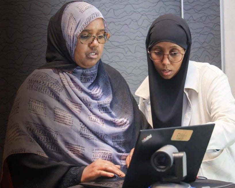 UNDP, Visa partner to boost digital transformation and financial inclusion in Somalia