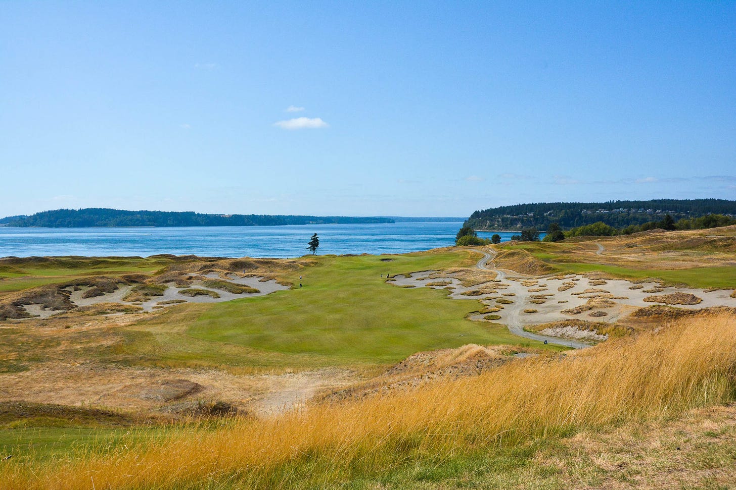 Salish Cliffs and Chambers Bay: The Perfect Golf Getaway