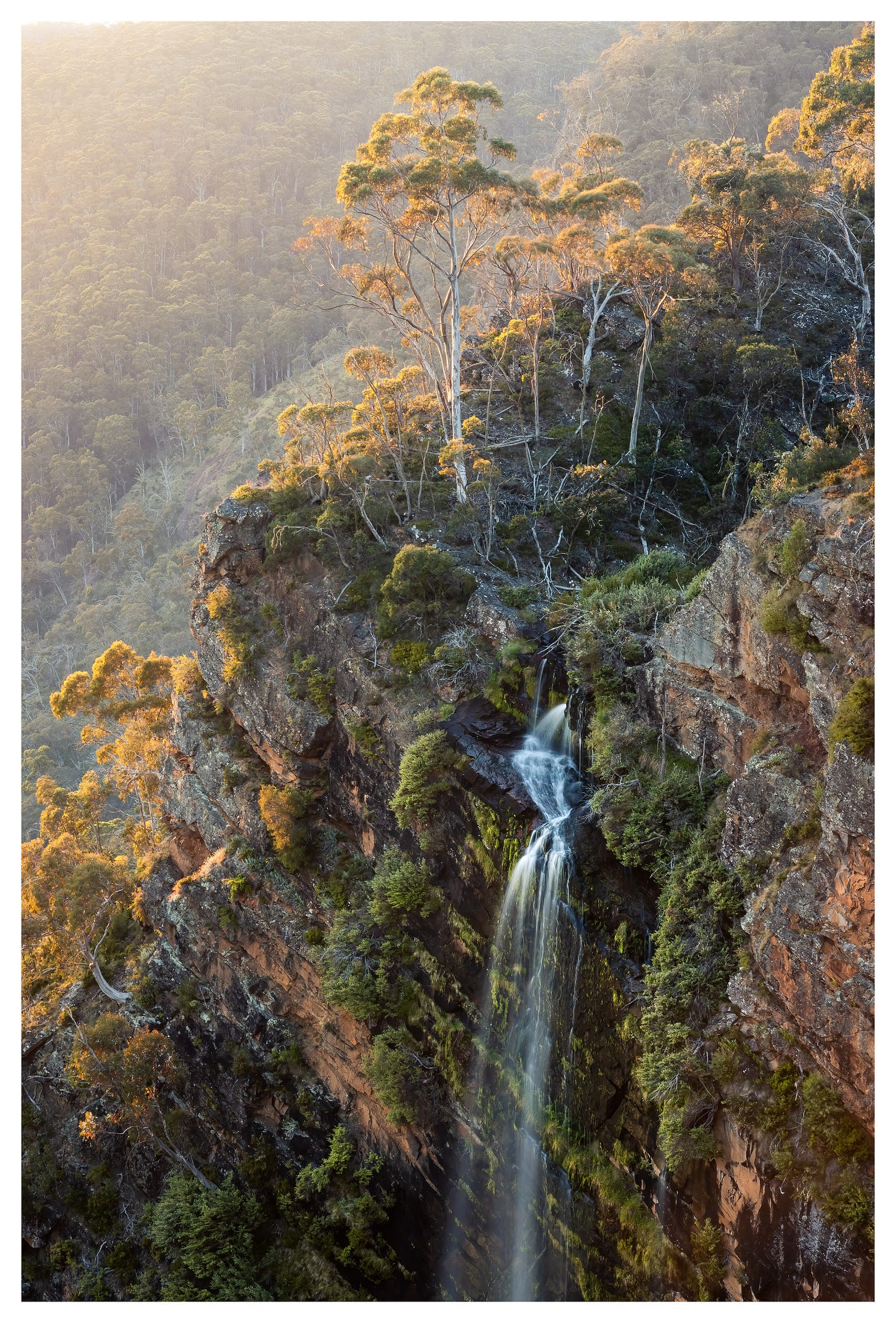 Piemans Falls Victoria Alpine National Park bathed in early morning sunlight
