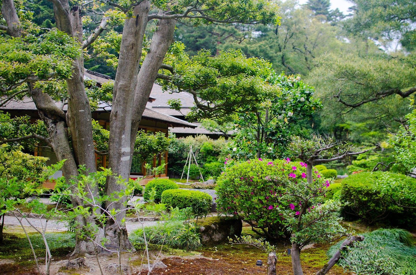 ID: Japanese garden