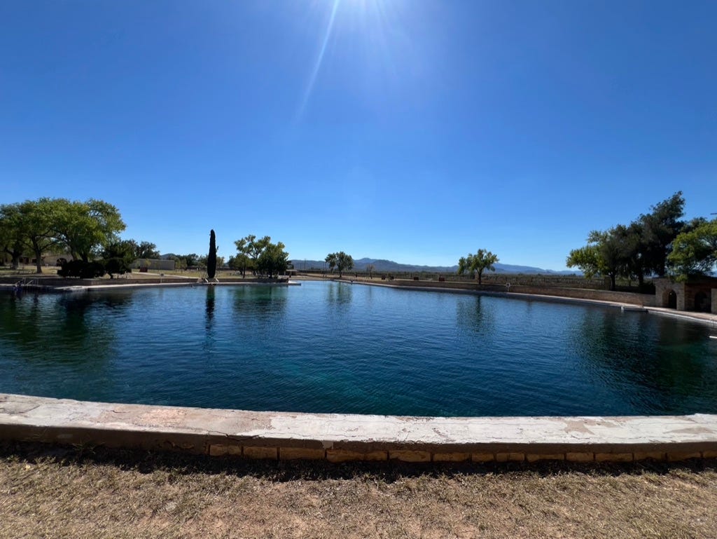 A pool with trees and a blue sky

Description automatically generated