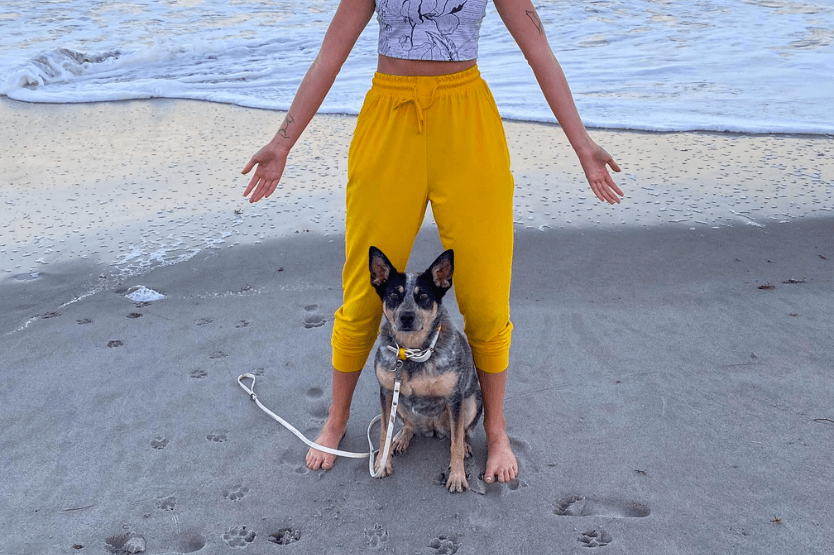 A blue heeler poses between her owner's legs on the dog-friendly stretch of Cocoa Beach in Florida