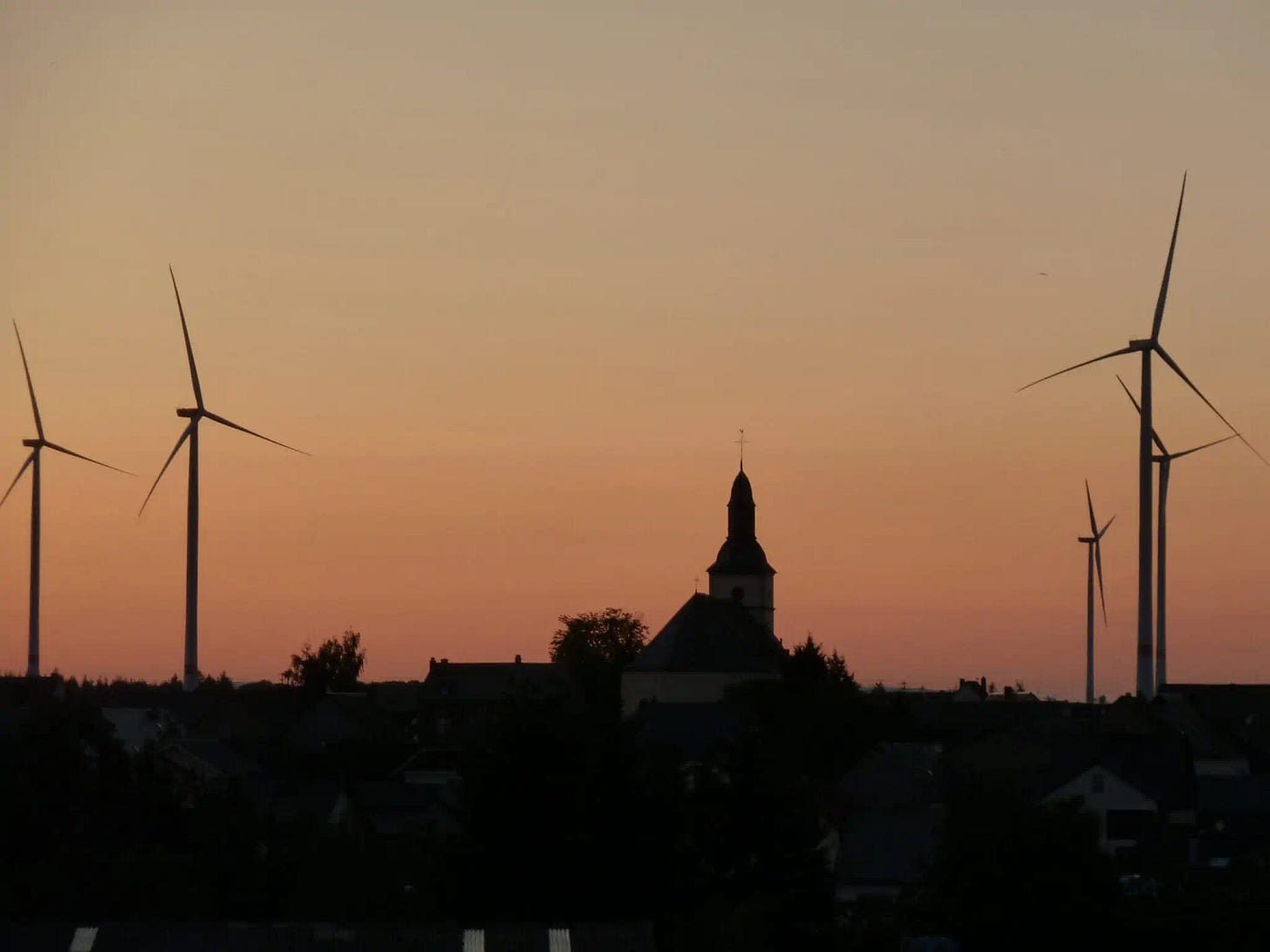 Geierlay hangbrug: zonder hoogtevrees naar de overkant - The Hike