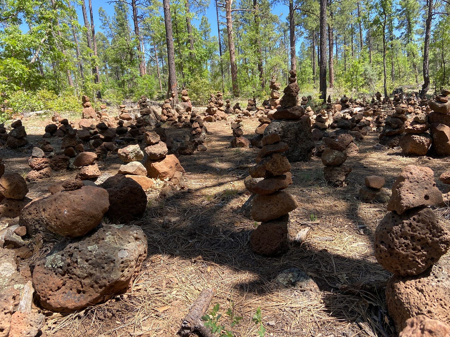 Visiting Pinetop, Arizona