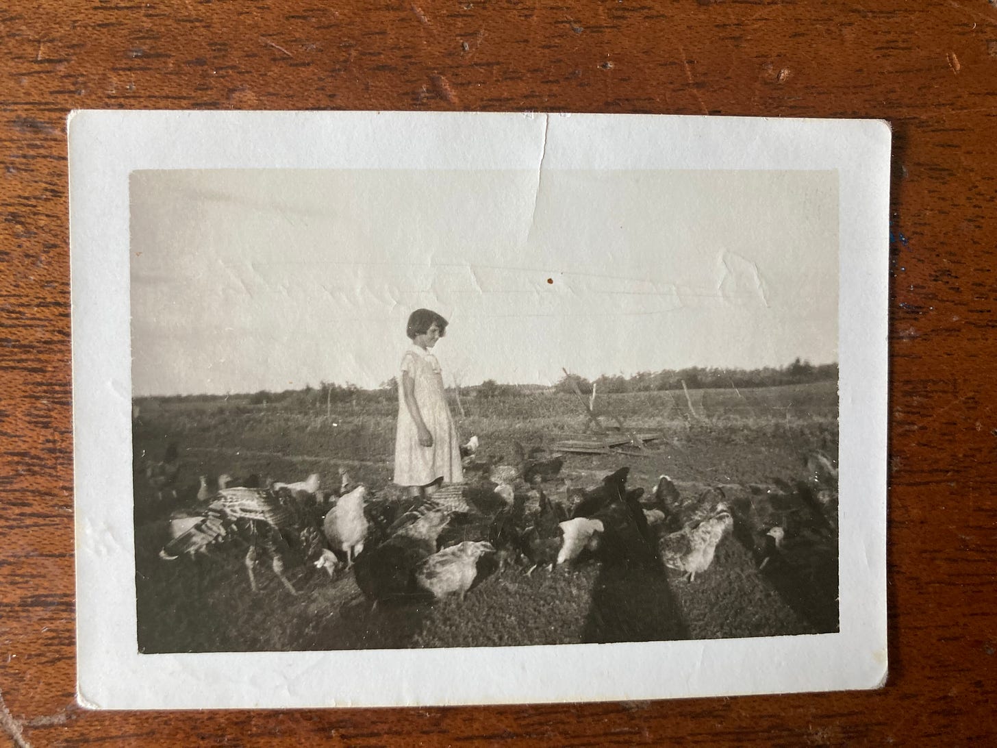 historic photo of a girl in a poultry flock