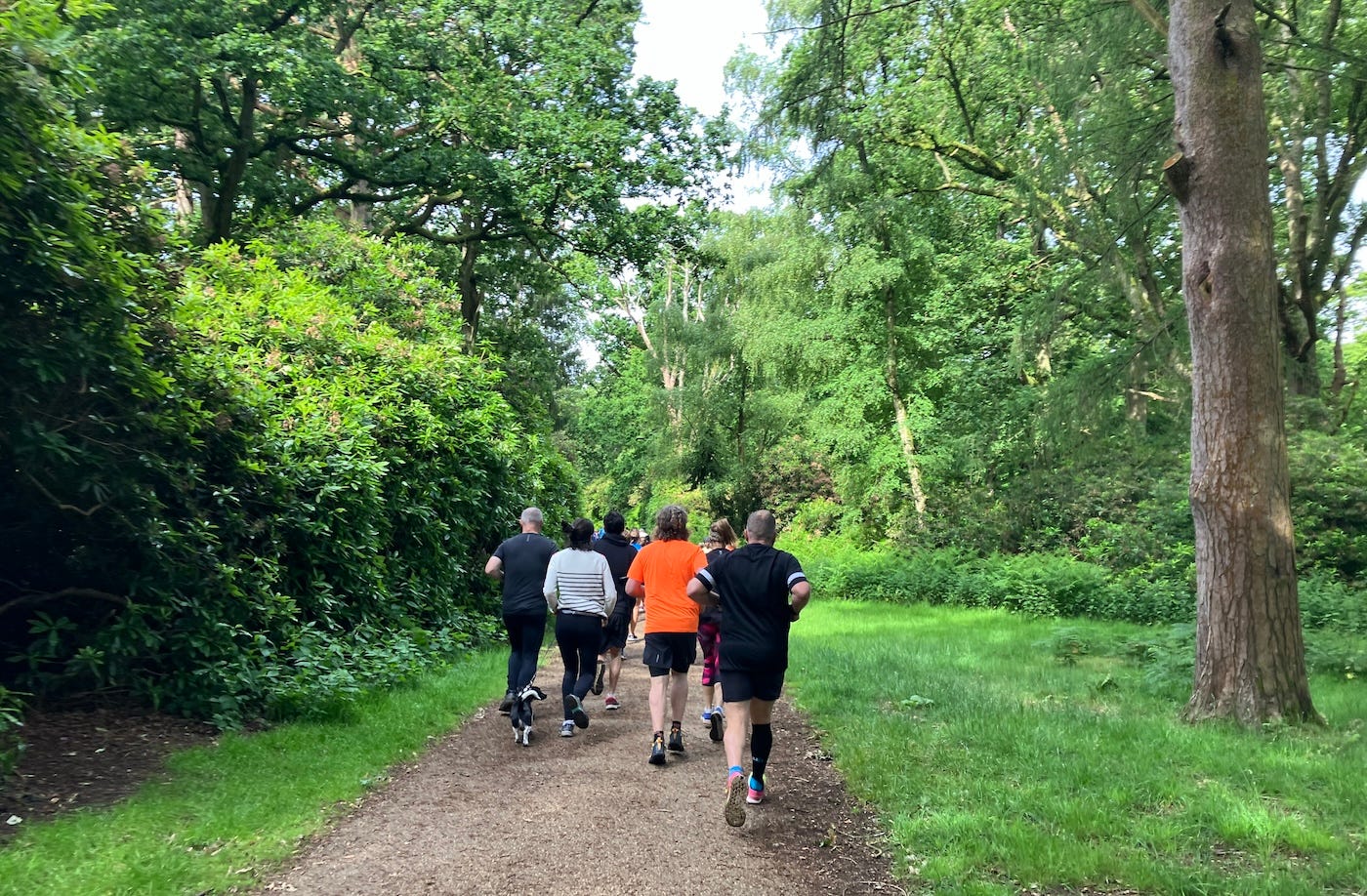 A group of runners on a path through the woods